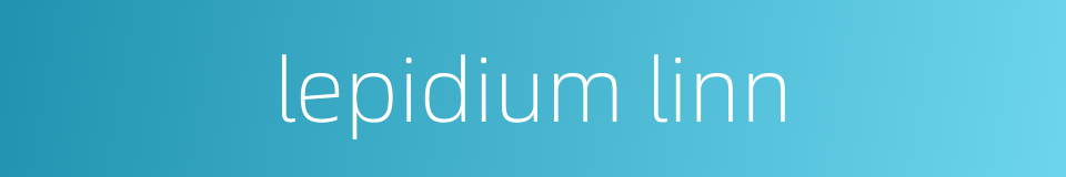 lepidium linn的同义词