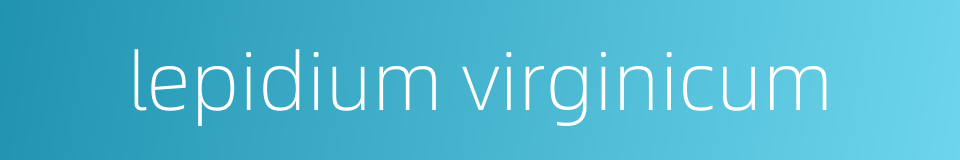 lepidium virginicum的同义词