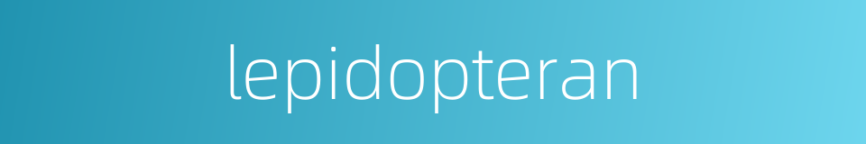 lepidopteran的同义词