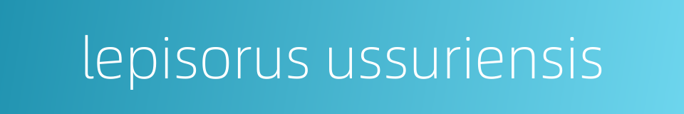 lepisorus ussuriensis的同义词
