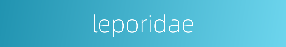 leporidae的同义词