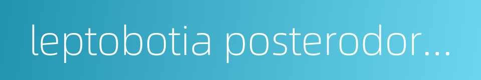 leptobotia posterodoralis的同义词