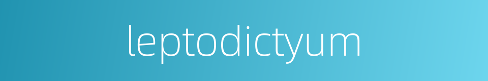 leptodictyum的同义词