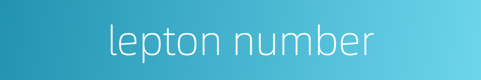 lepton number的同义词