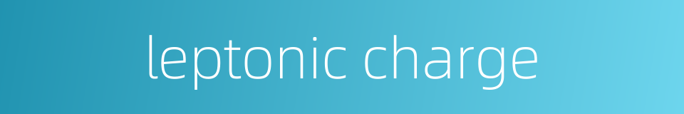 leptonic charge的同义词