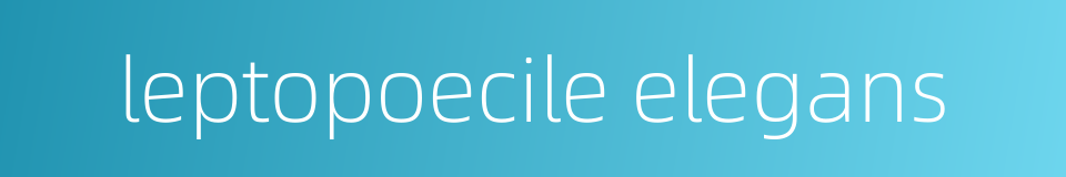 leptopoecile elegans的同义词