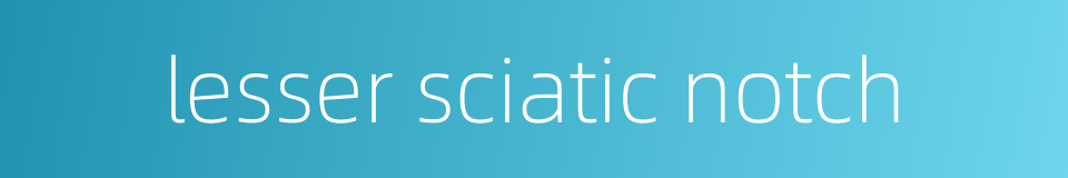 lesser sciatic notch的同义词
