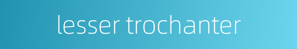 lesser trochanter的同义词