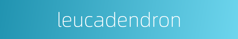 leucadendron的同义词