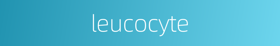 leucocyte的同义词