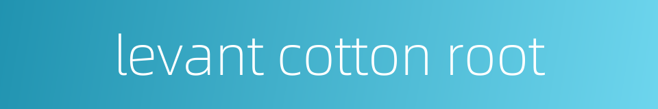 levant cotton root的同义词