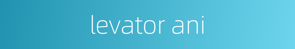 levator ani的同义词