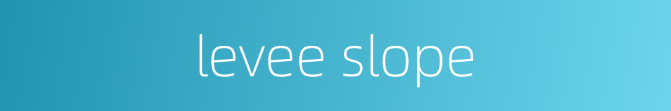levee slope的同义词