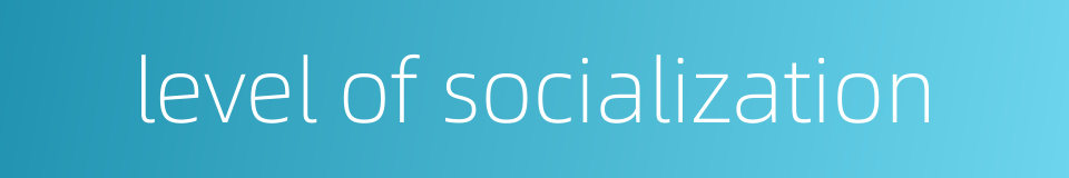 level of socialization的同义词