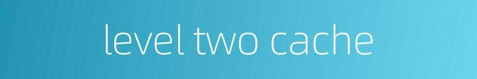 level two cache的同义词
