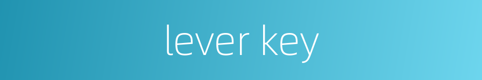 lever key的同义词