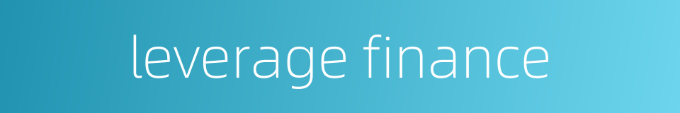 leverage finance的同义词