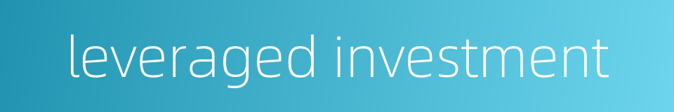 leveraged investment的同义词