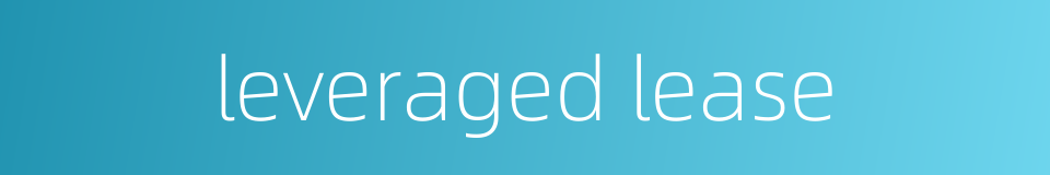 leveraged lease的同义词