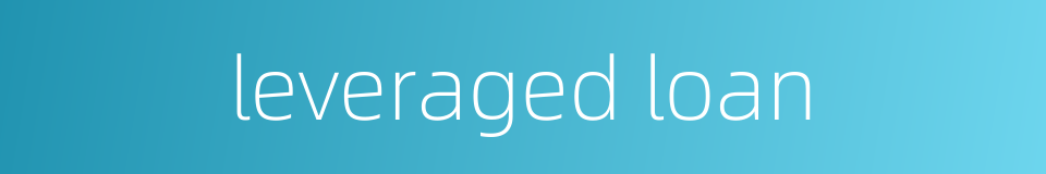 leveraged loan的同义词