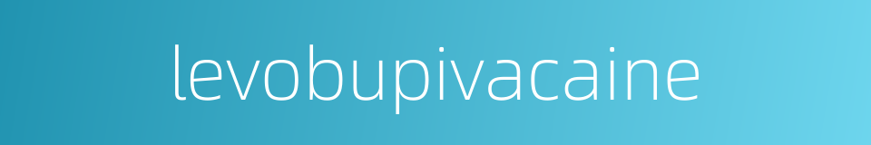 levobupivacaine的同义词