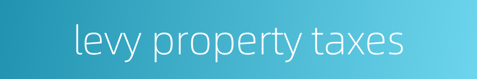 levy property taxes的同义词