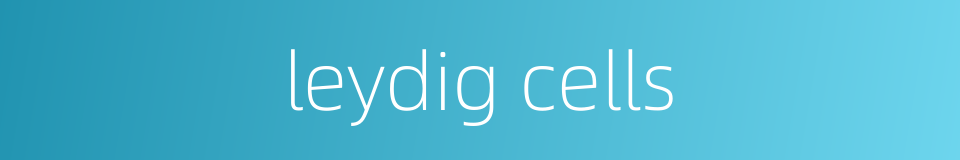 leydig cells的同义词