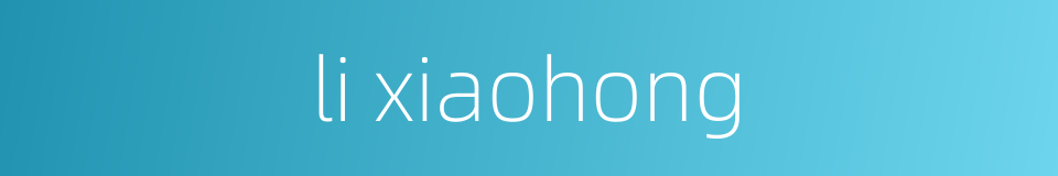 li xiaohong的同义词