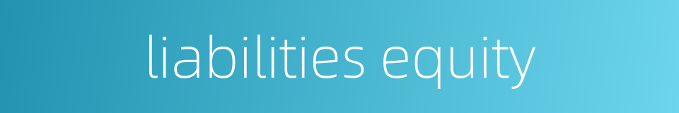 liabilities equity的同义词