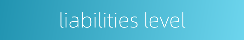 liabilities level的同义词