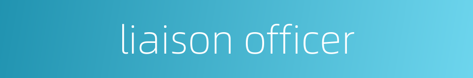 liaison officer的同义词