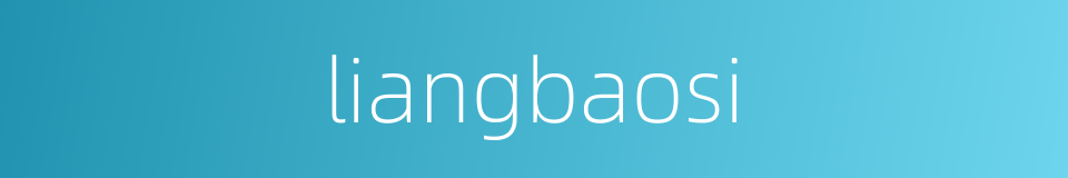 liangbaosi的同义词