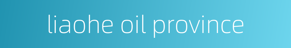 liaohe oil province的同义词