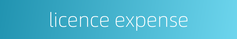 licence expense的同义词
