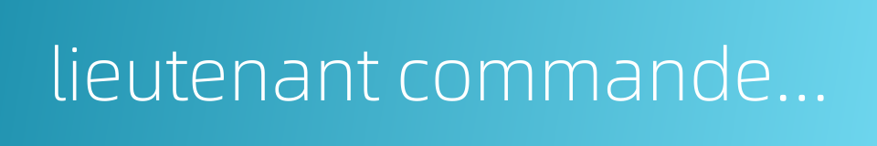 lieutenant commander of the navy的同义词