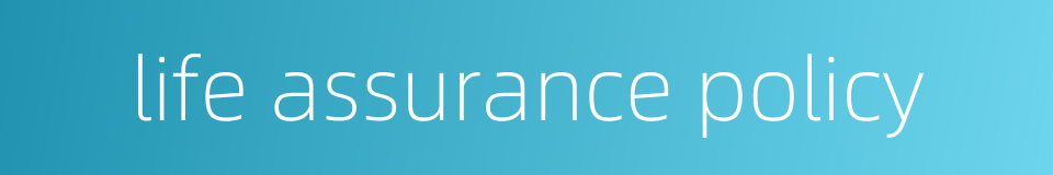 life assurance policy的同义词