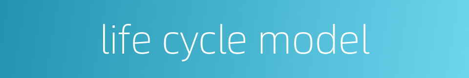 life cycle model的同义词