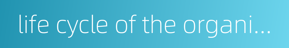 life cycle of the organization的同义词