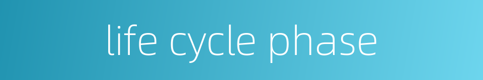 life cycle phase的同义词