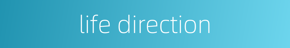 life direction的同义词