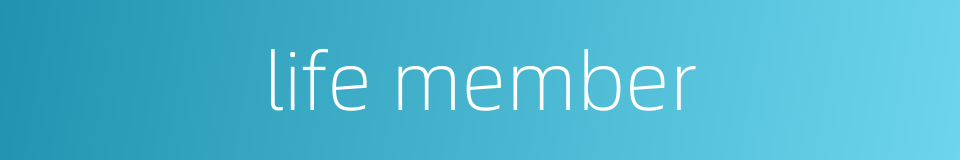 life member的同义词