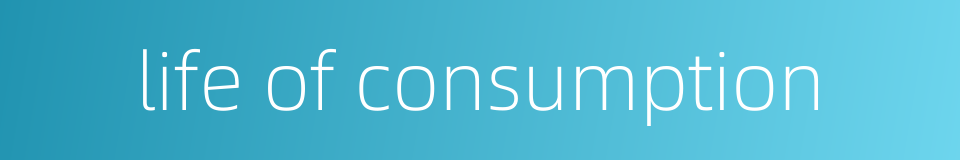 life of consumption的同义词