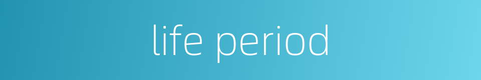 life period的同义词