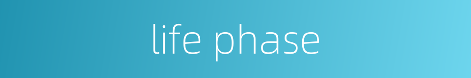 life phase的同义词