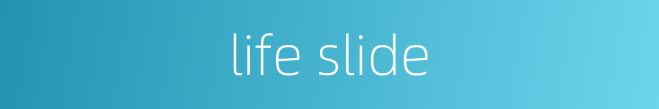 life slide的同义词