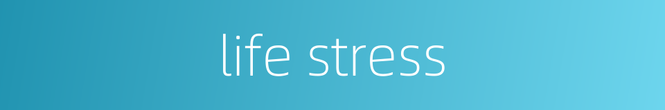 life stress的同义词