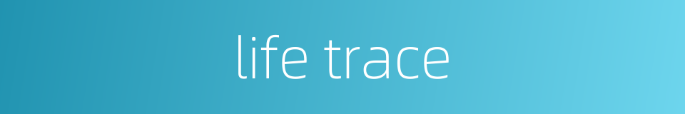 life trace的同义词