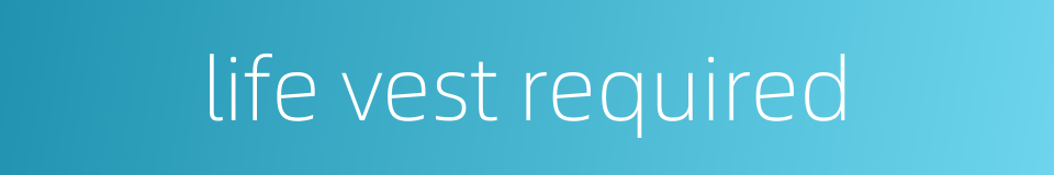 life vest required的同义词