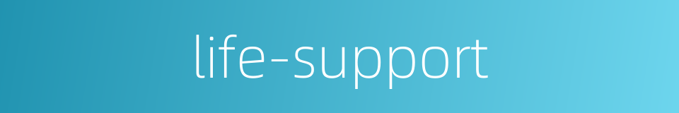 life-support的同义词