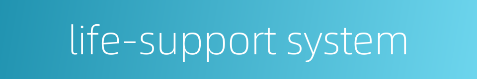 life-support system的同义词